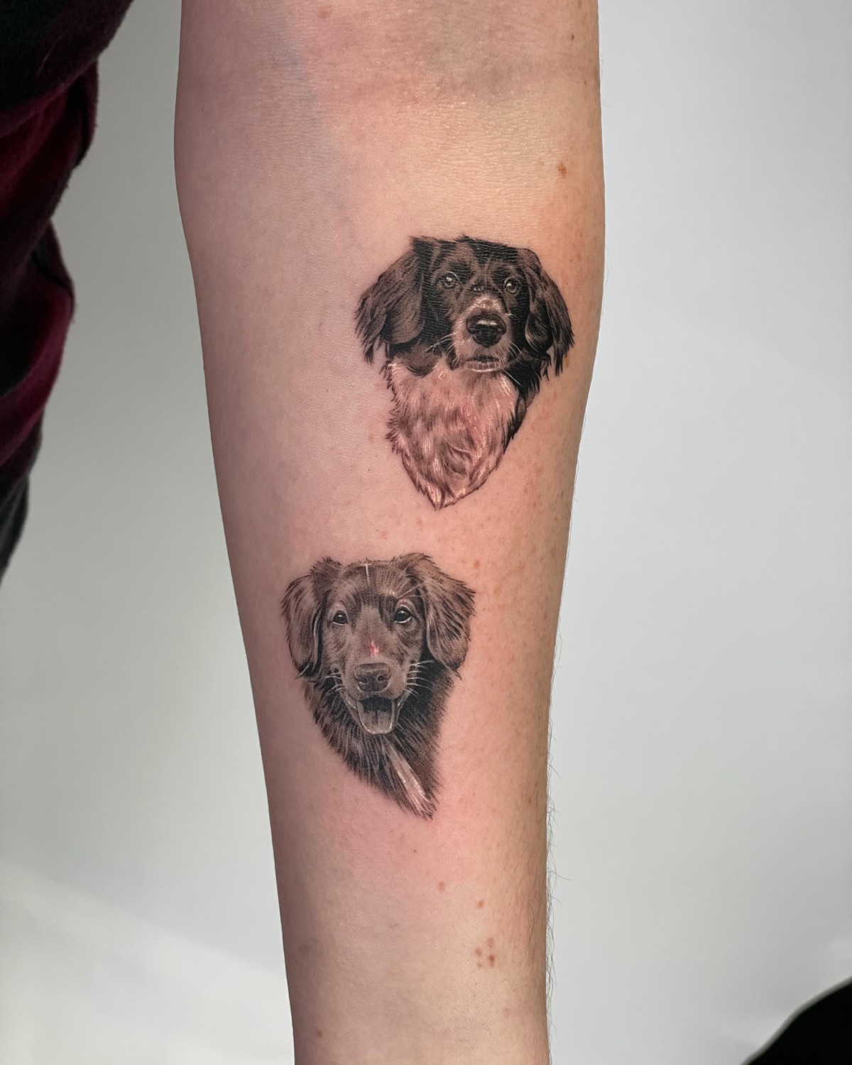 Réalisme animalier tatoué en micro réalisme par Kirill Potehin